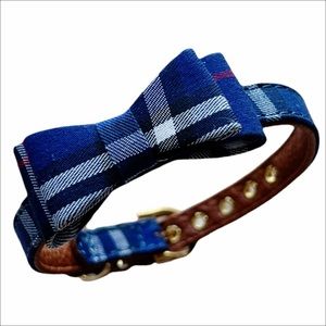 Collars & Leash in Blue Plaid